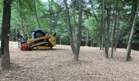 Cleared and beautified lot after forestry mulching