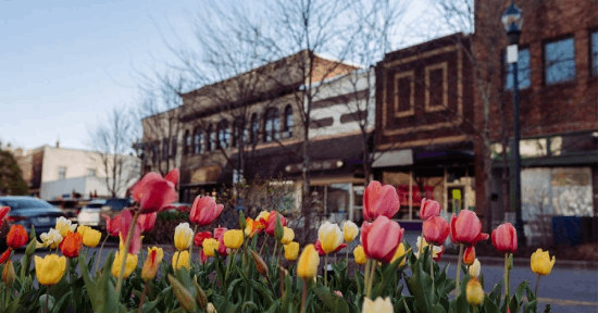 Downtown Hendersonville, NC — the heart of our forestry mulching service area