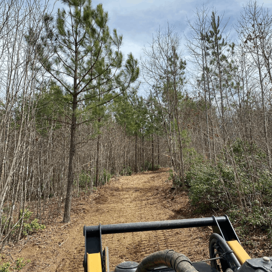 Forestry mulcher clearing an overgrown fence line
