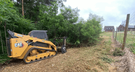 Right of way corridor cleared by forestry mulcher